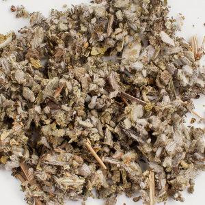 Dalmation Sage
